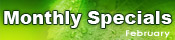 February Sale Specials